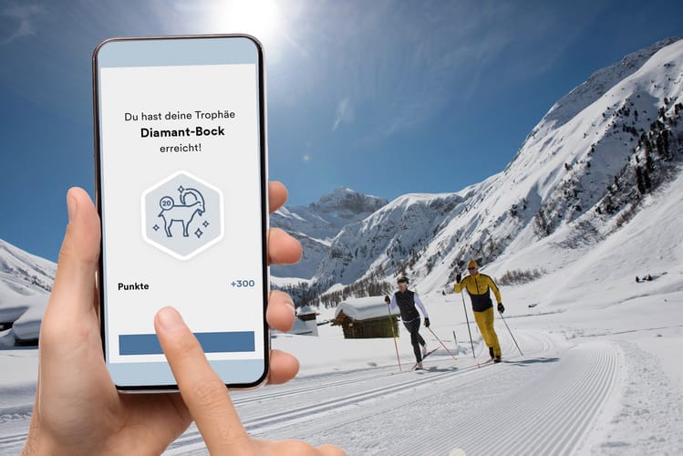 Alle laufen lang App