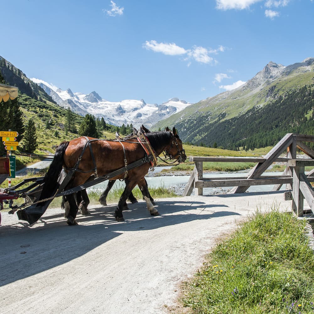 Kutschenfahrten ins Val Roseg