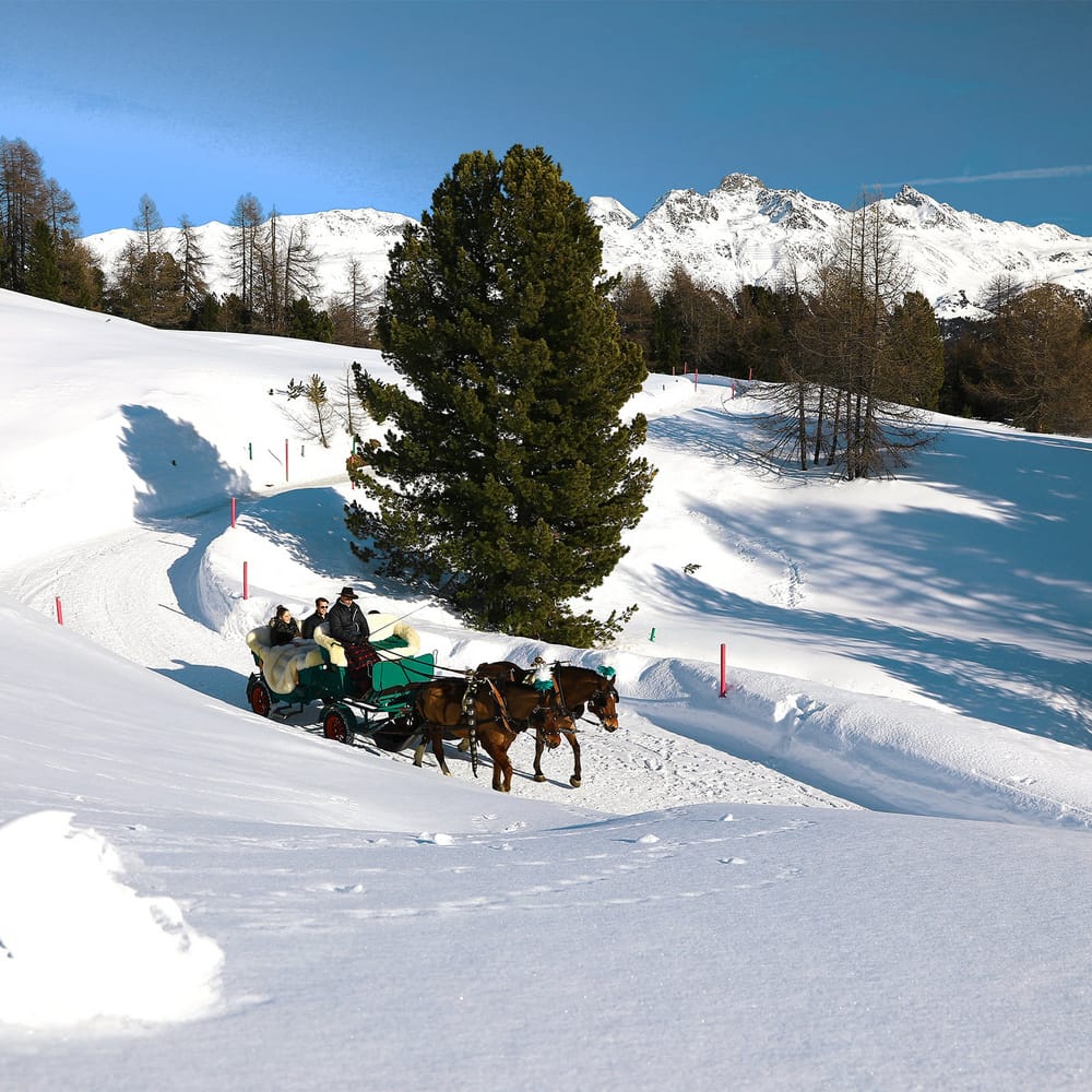 Kutschenfahrten in St. Moritz