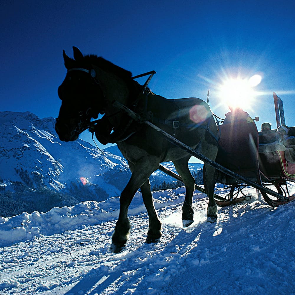Kutschenfahrten Samedan