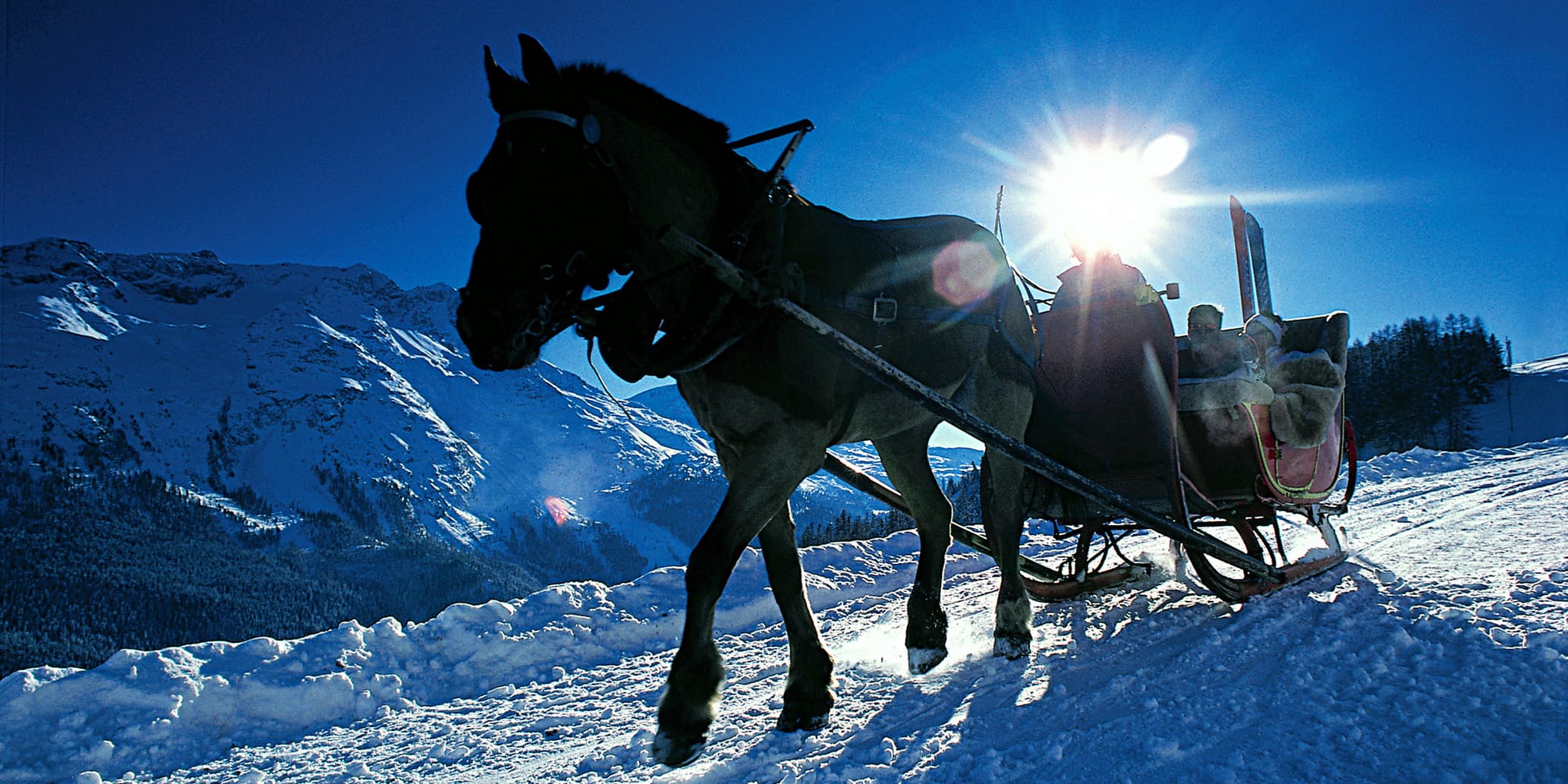 Kutschenfahrten Samedan