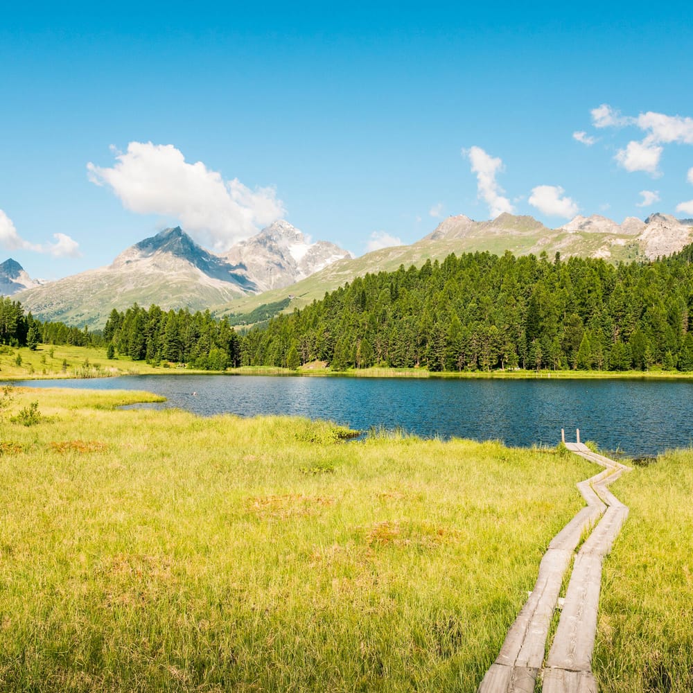 Ausflugstipps - Natur im Engadin