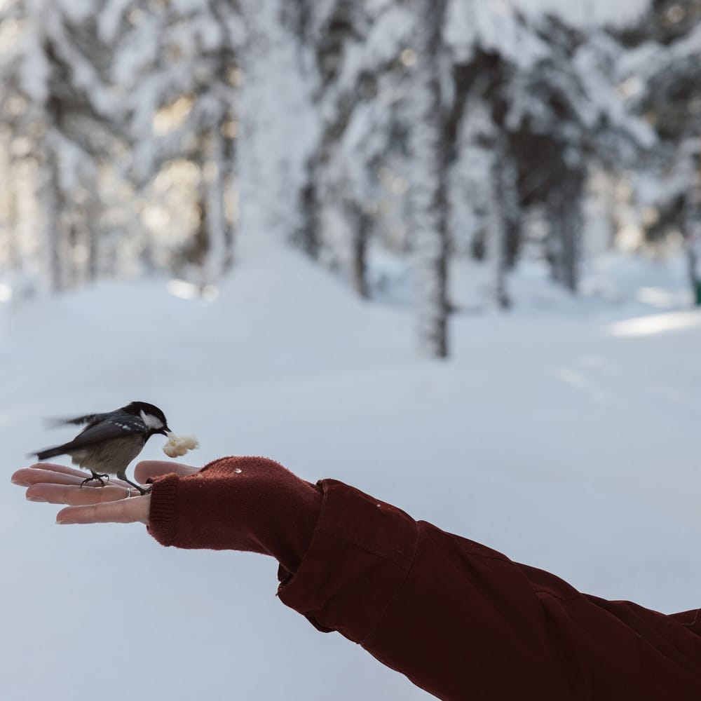 10 nachhaltige Winter-Erlebnistipps
