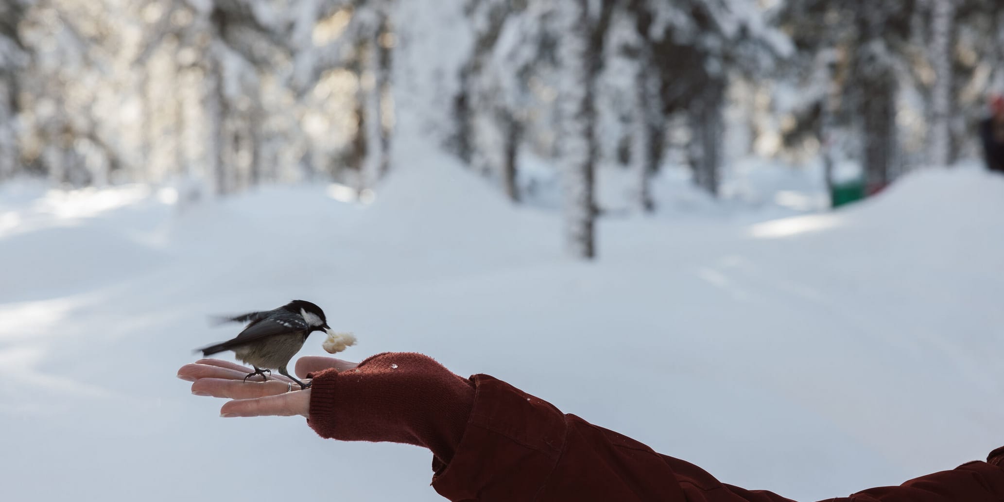 10 nachhaltige Winter-Erlebnistipps