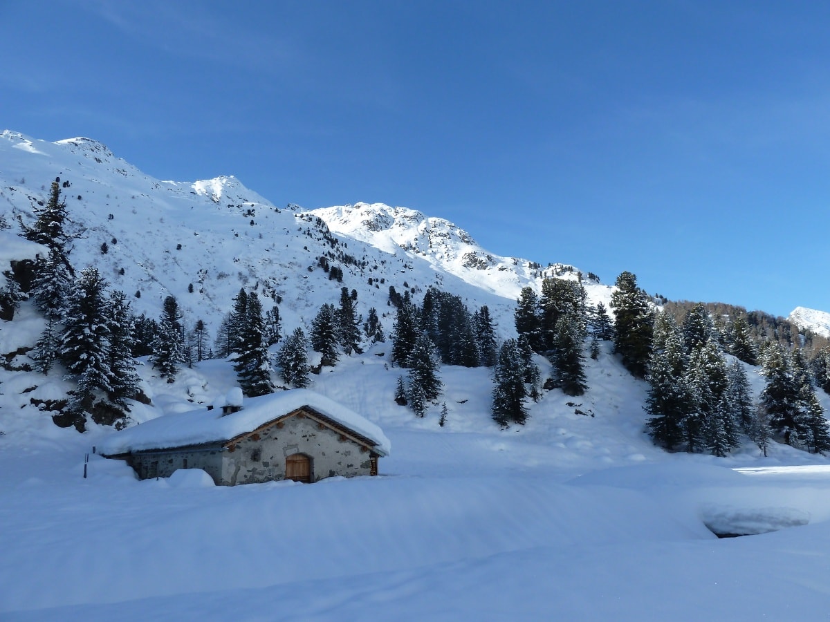 Schneeschuhtour Maloja - Cavloc - Plan Canin