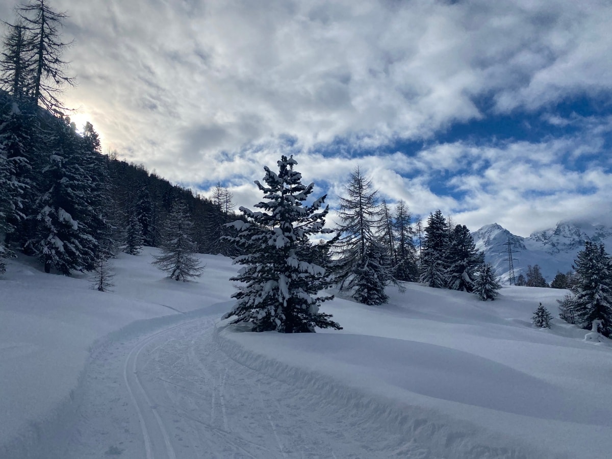 Alp Staz
