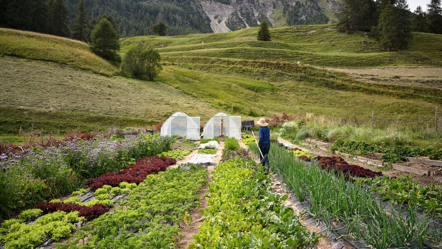 Veranstaltung: Der Hauser Garden