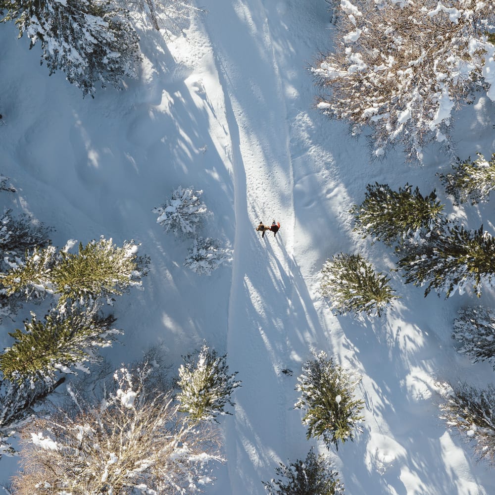 Winter- und Schneeschuhwandern im Engadin