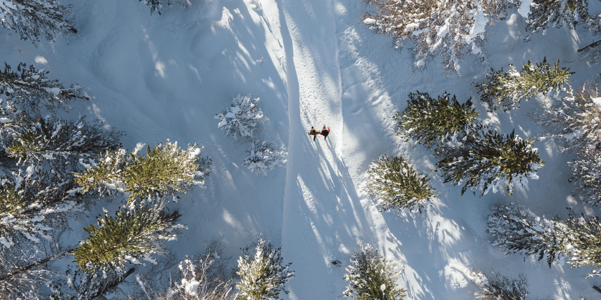 Winter- und Schneeschuhwandern im Engadin