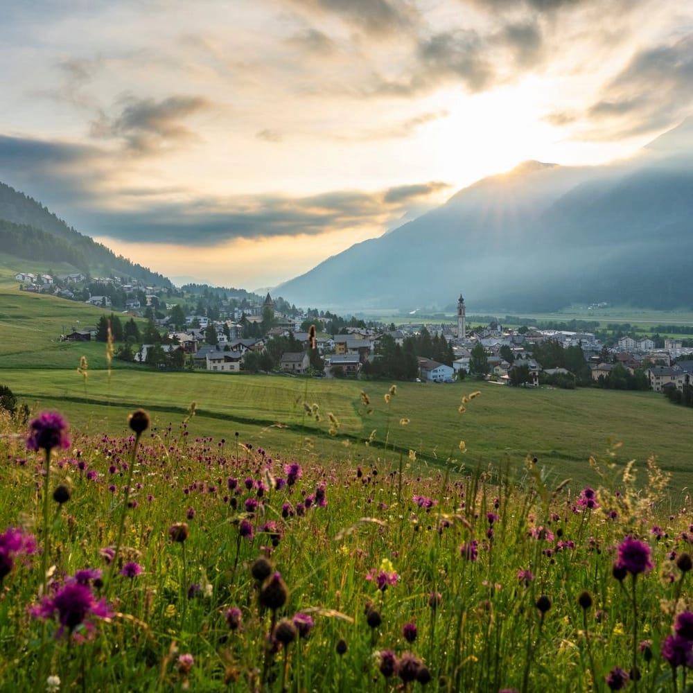 Samedan