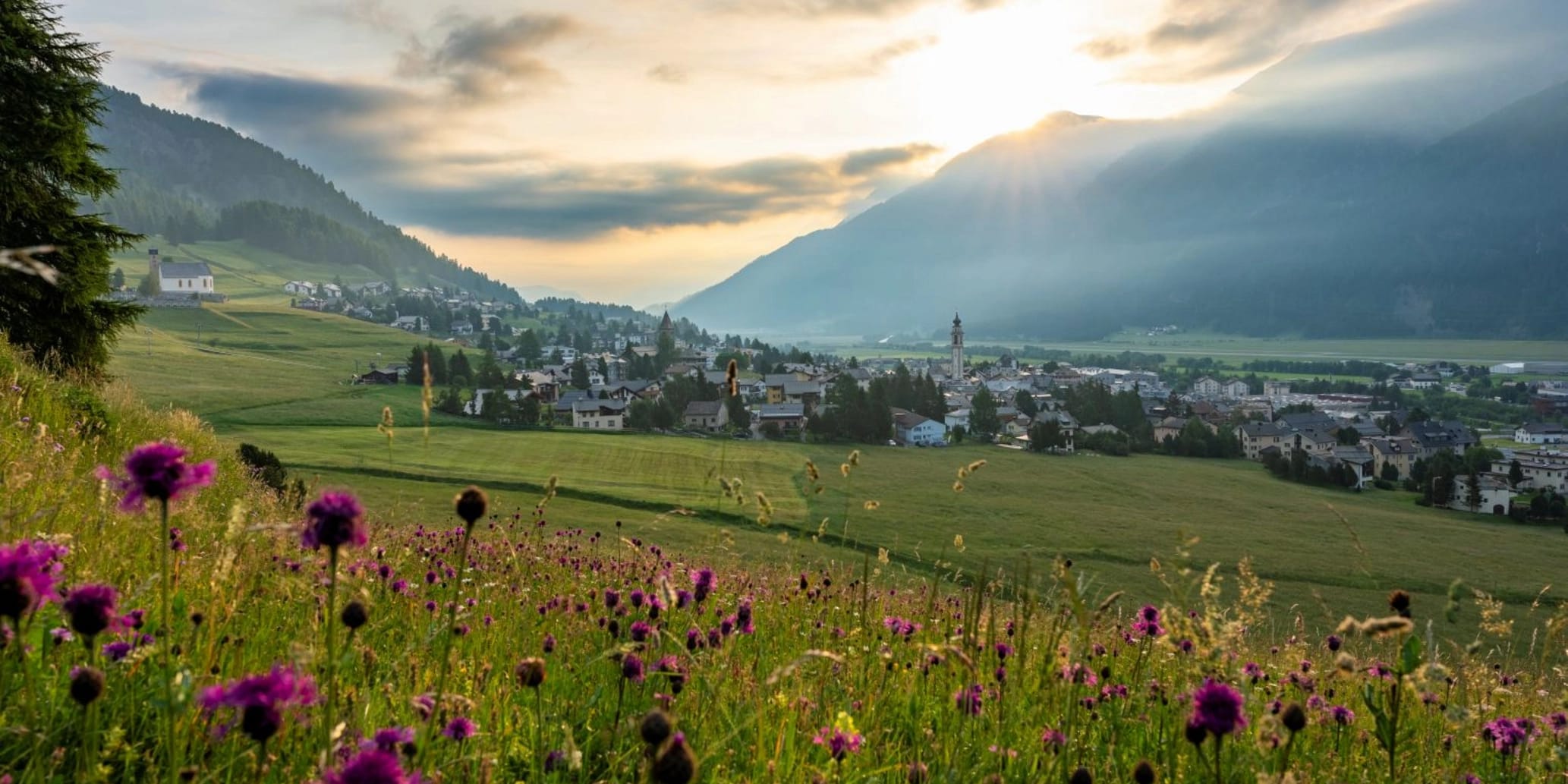 Samedan