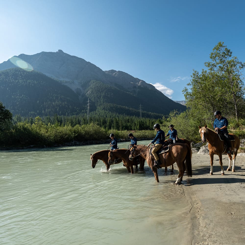 Reiten und Pferdesport