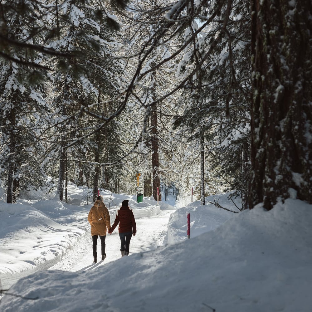 Winterwandern