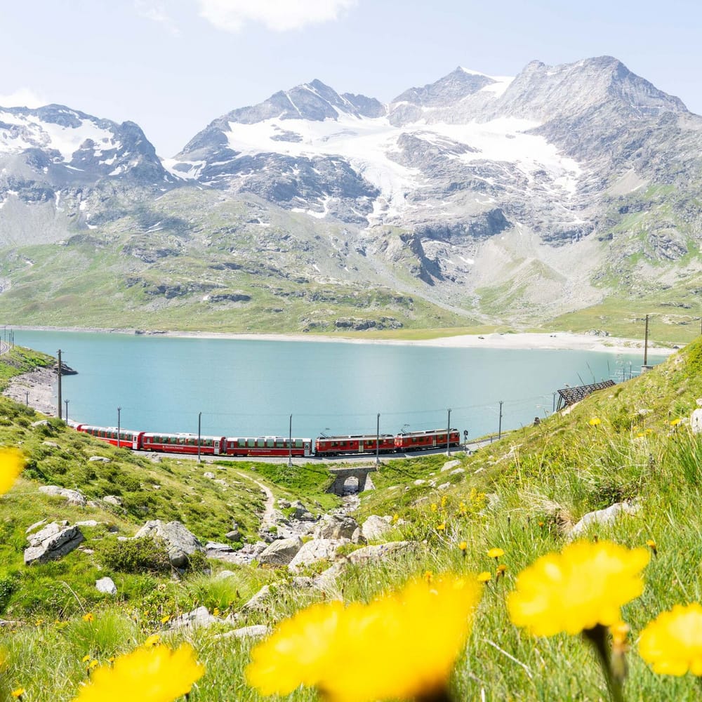 Panoramafahrt Bernina Express im Sommer