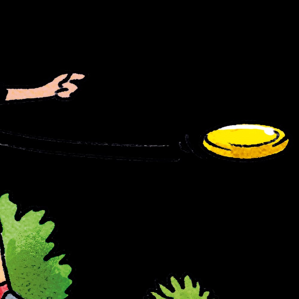 Disc-Golf