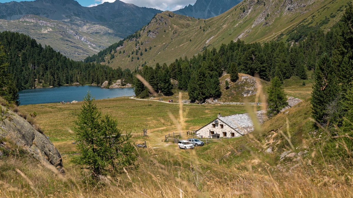 Alp Cavloc