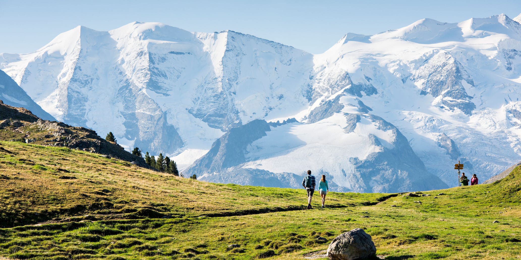 Alp Languard Sommer