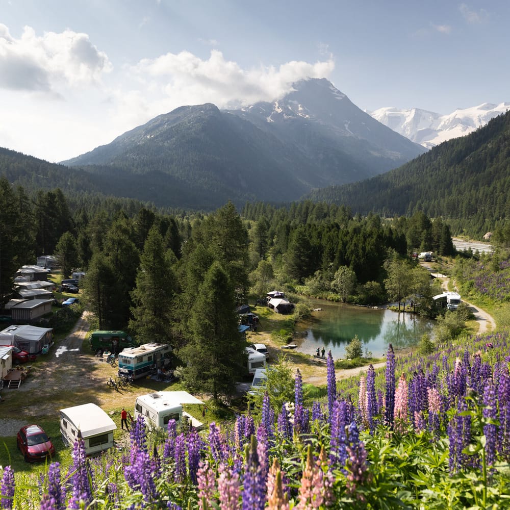 Camping Morteratsch