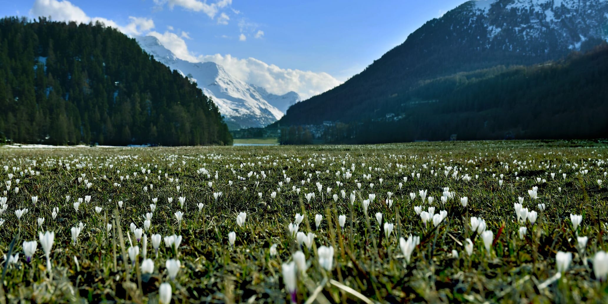 Frühling im Engadin