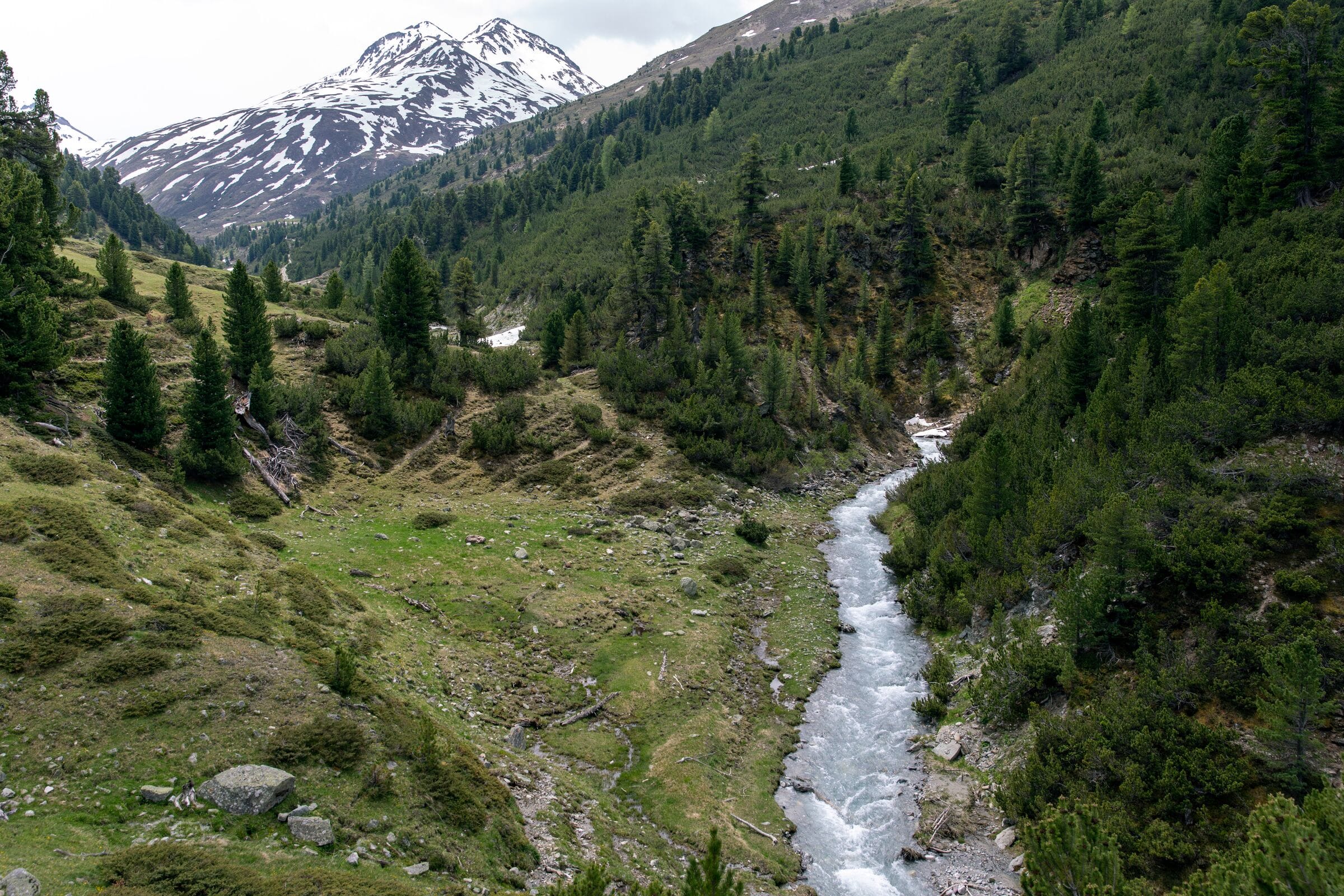 Chamuera Tal