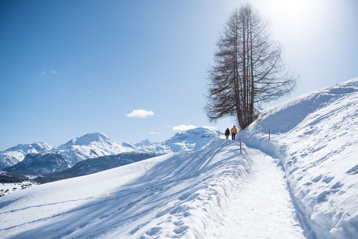 Heart Region: Samedan – Celerina – Samedan