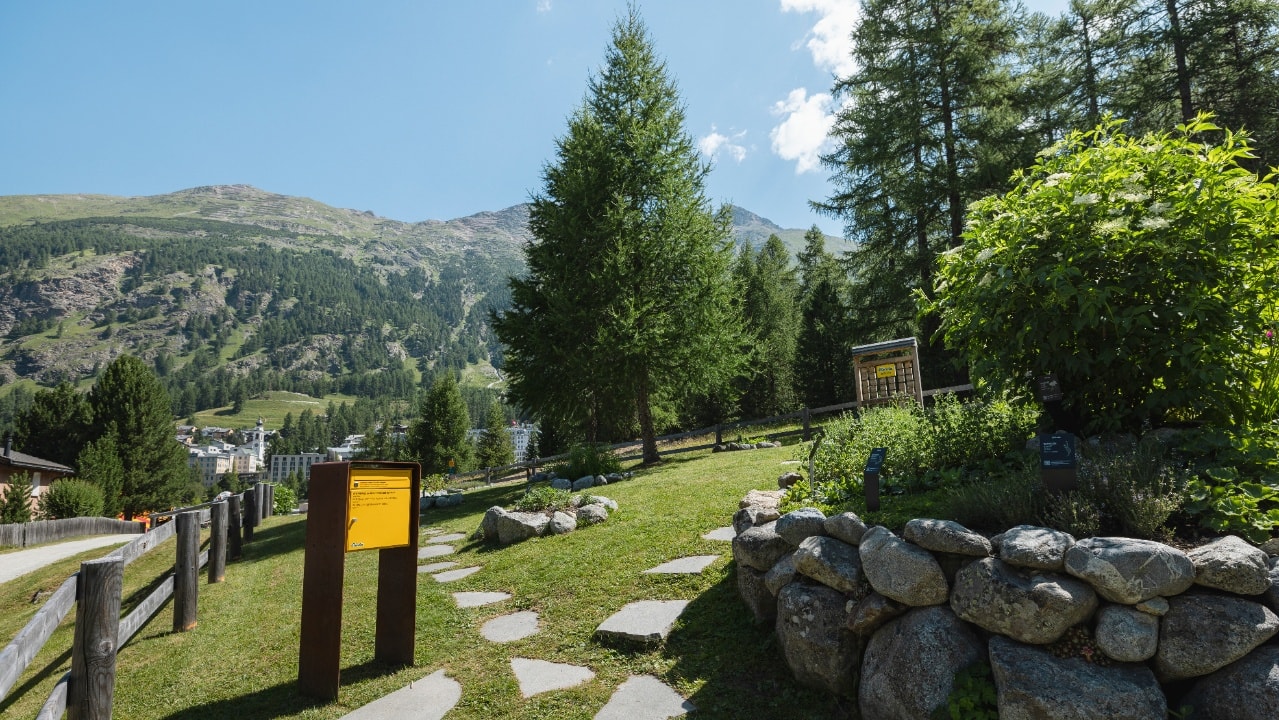 Giardino delle erbe Ricola e bosco di Tais