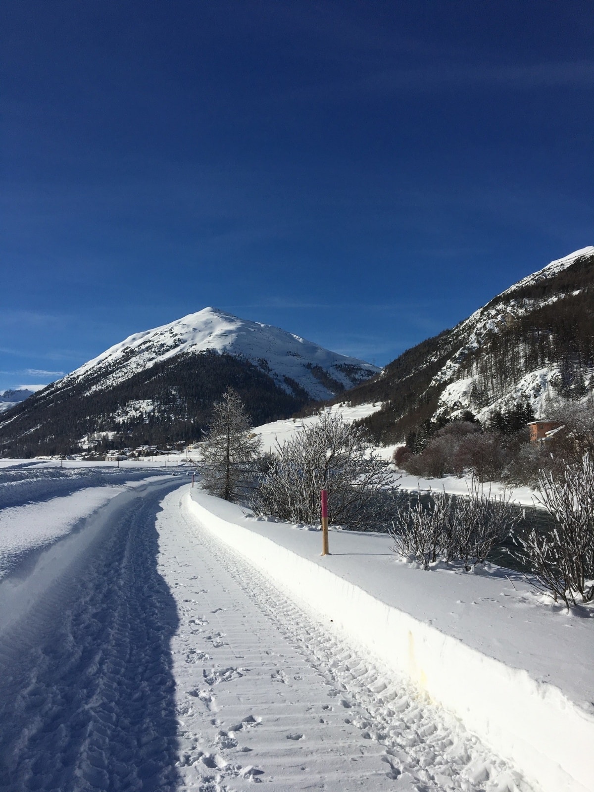 Wintertrailrunning: La Punt – Zuoz – La Punt