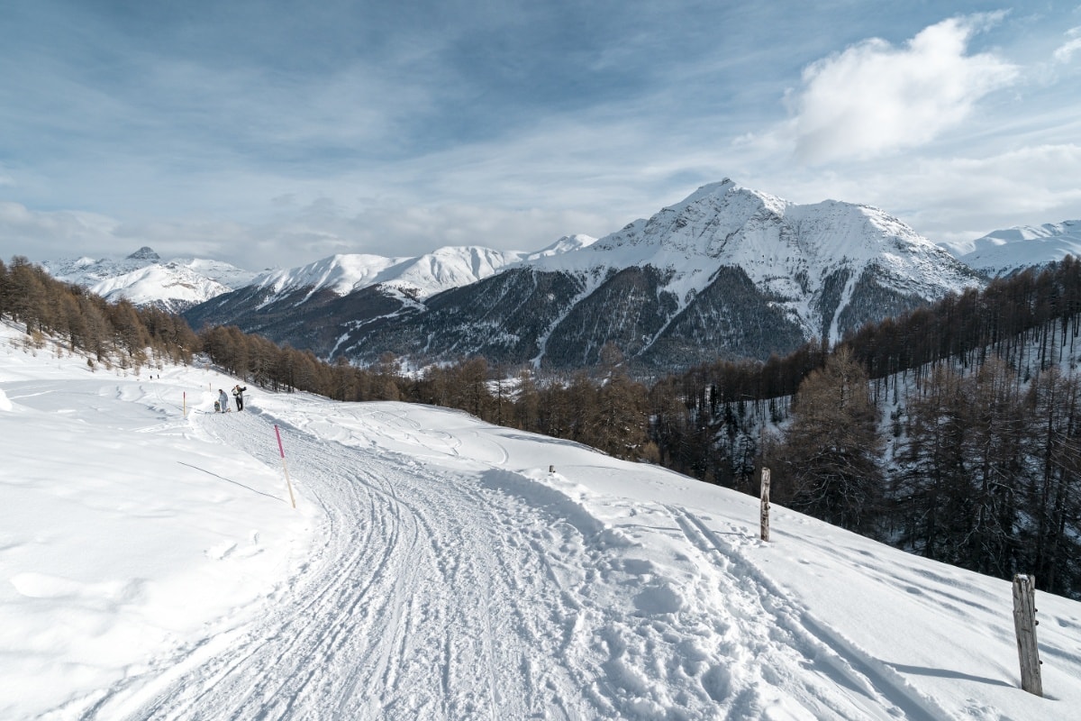 Schlittelweg Alp Es-cha Dadour - Pizzet