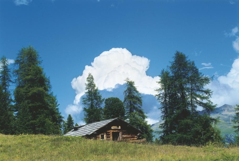 30.04 S-chanf - Pontresina, ViaValtellina